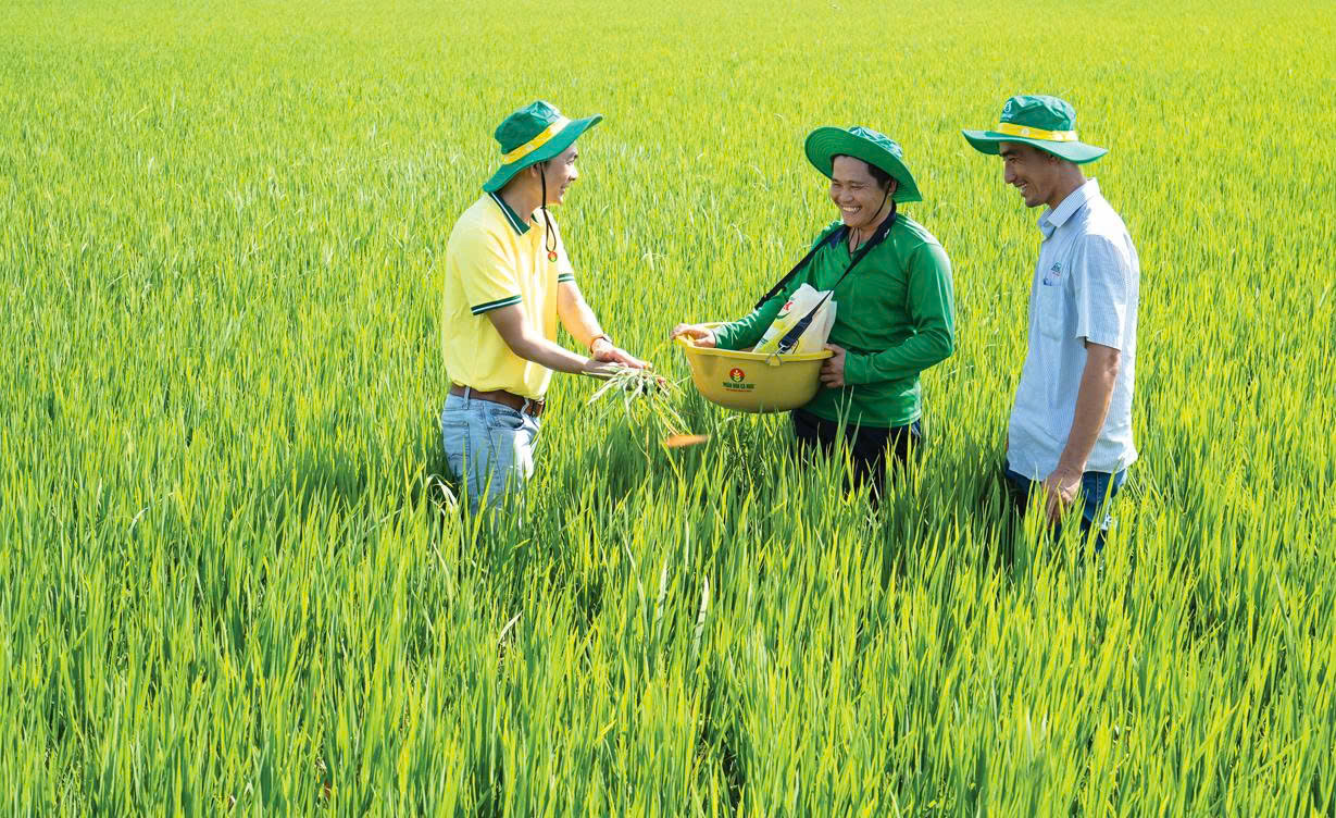 pvcfc-nâng-tầm-giá-trị-thương-hiệu