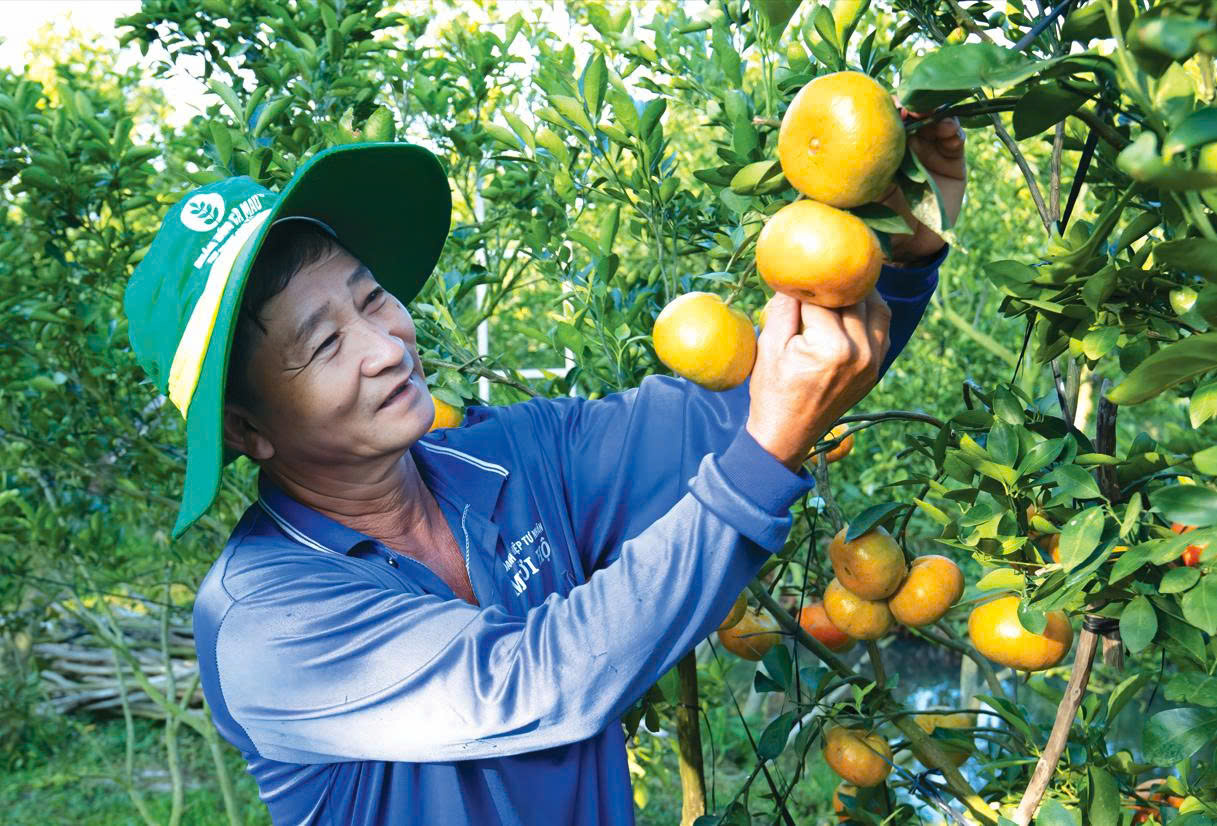 pvcfc-với-nền-tảng-vững-bền---khát-vọng-lớn-mạnh---nhanh-hơn,-hiệu-quả-hơn